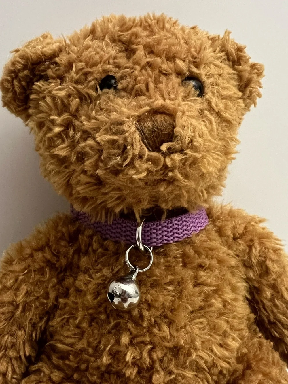 2022 Douglas Cuddle Toys Teddy Bear Plush 9